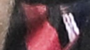 Jugadores del AC Milan celebrando gol ante Napoli en San Siro.