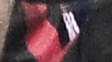 Jugadores del AC Milan celebrando gol ante Napoli en San Siro.