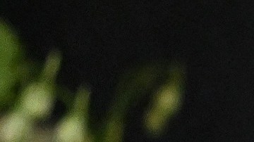 El presidente Joe Biden.