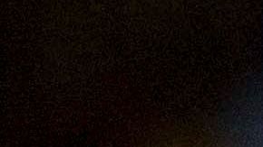 Jugadores de Tigres de la UANL celebrando en la Concachampions.