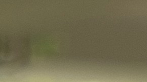 Biden firma la orden ejecutiva que crea la Oficina de Justicia Ambiental de la Casa Blanca.