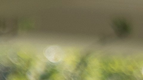 Biden firma la orden ejecutiva que crea la Oficina de Justicia Ambiental de la Casa Blanca.