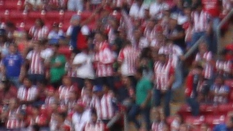 Paunovic ha sido una pieza importante en el banquillo de Chivas.