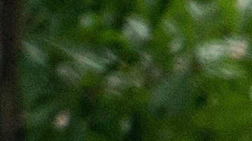 Autoridades investigan el lugar de un tiroteo donde murieron 5 personas, entre ellas un niño, en Cleveland, Texas.