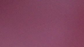 Kiss Cam en un partido de béisbol.