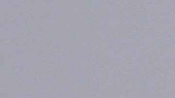 HUNTINGTON BEACH, CALIFORNIA - OCTOBER 09: People walk with dogs on a mostly empty Huntington Beach about one week after an oil spill from an offshore oil platform on October 9, 2021 in Huntington Beach, California. The heavy crude oil spill affected close to 25 miles of coastline in Orange County. The beach is open in Huntington Beach but the public is not allowed to enter the water. (Photo by Mario Tama/Getty Images)