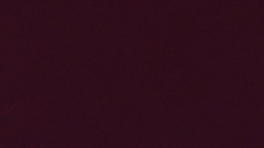 Presidente de México, Andrés Manuel López Obrador, anuncia nuevo contagio de COVID