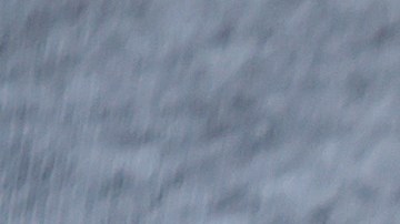 Una persona muestra un botón de voto de las elecciones primarias de 2022 en Florida.