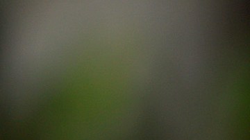 La investigación realizada en Georgia en contra de Donald Trump está involucrando a muchas personas consideradas cómplices.