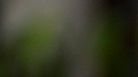 La investigación realizada en Georgia en contra de Donald Trump está involucrando a muchas personas consideradas cómplices.