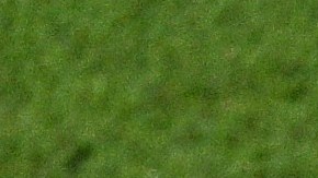 Héctor Herrera estuvo presente en el Mundial Qatar 2022 con México.