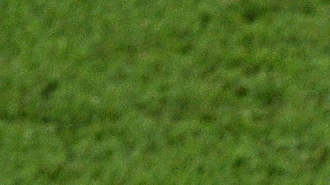Héctor Herrera estuvo presente en el Mundial Qatar 2022 con México.