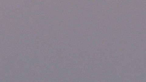 Interceptan a 13 inmigrantes en una embarcación cerca de Miami