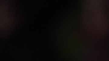 El entrenador se va tras 31 partidos