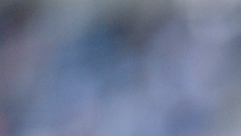 Víctor Manuel Vucetich, estratega de Rayados de Monterrey.Víctor Manuel Vucetich, estratega de Rayados de Monterrey.