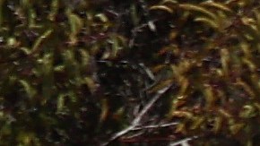 CLAREMONT, CALIFORNIA - FEBRUARY 23: Vehicles drive in the foothills of the San Gabriel Mountains with a dusting of snow in Los Angeles County on February 23, 2023 near Claremont, California. A major storm, carrying a rare blizzard warning for parts of Southern California, is expected to deliver heavy snowfall to the mountains with some snowfall expected to reach lower elevations in L.A. County. (Photo by Mario Tama/Getty Images)