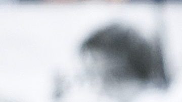 Carlos Vela tiene cuatro goles.
