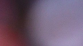 Pumas es penúltimo en la Liga MX.