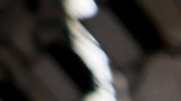 PARIS, FRANCE - MARCH 07: Brooklyn Beckham and Nicola Peltz attend the Miu Miu Womenswear F/W 2023- 2024 show as part of Paris Fashion Week at Palais d'Iena on March 07, 2023 in Paris, France. (Photo by Victor Boyko/Getty Images for Miu Miu)