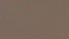 José Benavídez Sr.