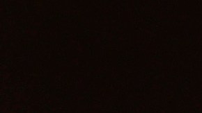 La historia electoral de Bernie Sanders incluye las primarias y caucus presidenciales del Partido Demócrata de 2016 y 2020.