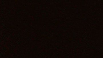 La historia electoral de Bernie Sanders incluye las primarias y caucus presidenciales del Partido Demócrata de 2016 y 2020.