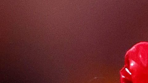 Rey Mysterio, luchador de la WWE, en Wrestlemania 2023 realizado en el SoFi Stadium de Los Ángeles.