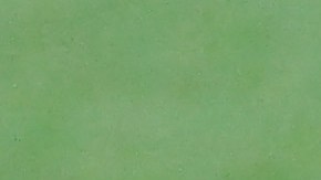 Randy Arozarena con Tampa Bays tras cuadrangular en la MLB.