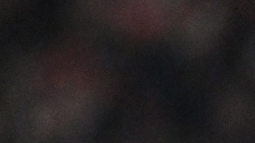 Jugadores del Bayern Munich en la derrota ante Freiburg.