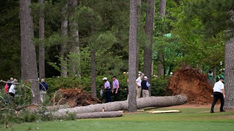 Pinos caídos en el Masters de Augusta.