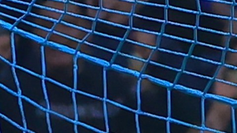 Jugadores de América felicitan a Luis Malagón.
