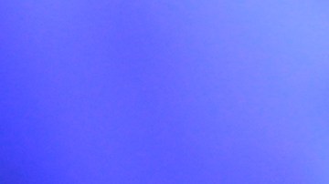 Zendejas fue sustituido al minuto 72.