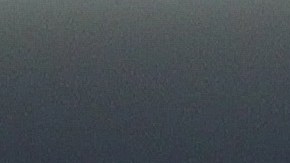 Antonio Mohamed, técnico de Pumas de la UNAM.