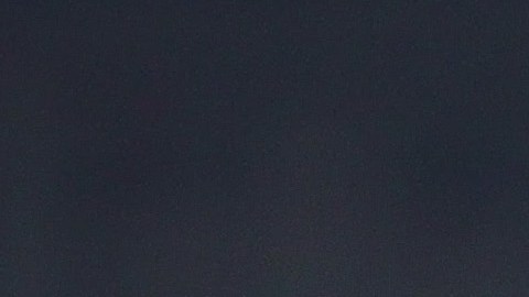 Antonio Mohamed, técnico de Pumas de la UNAM en México.