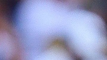 Antonio 'Turco' Mohamed, entrenador de los Pumas de la UNAM.