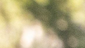 Esmeralda Pimentel no deja de sorprender con su corte Pixie | Aldara Zarraoa/Getty Images