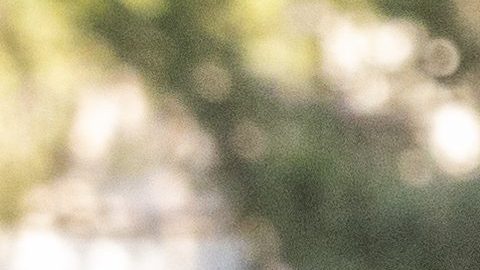 Esmeralda Pimentel no deja de sorprender con su corte Pixie | Aldara Zarraoa/Getty Images