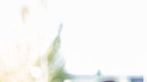 Aislinn Derbez no quiere modificar su nariz.