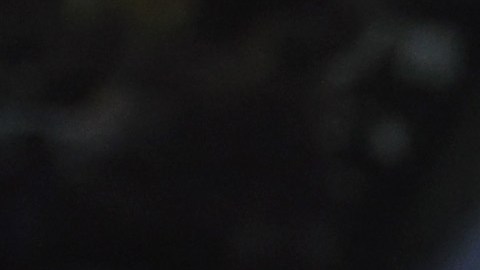 Ryan García, Gervonta Davis