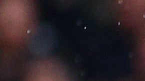 Jugadores del Manchester United ante Brighton en la FA Cup.