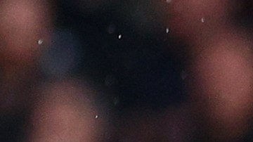 Jugadores del Manchester United ante Brighton en la FA Cup.