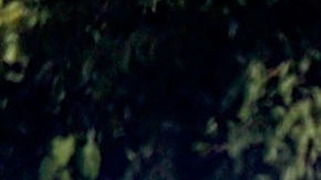 EEmbarazada en Luisiana muere luego de que adolescentes dispararan contra su auto por error