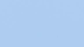 Hombre en Honolulu es atacado por tiburón mientras surfeaba y es hospitalizado grave