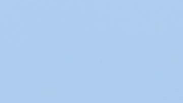 Hombre en Honolulu es atacado por tiburón mientras surfeaba y es hospitalizado grave