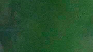 Los disturbios provocaron la suspensión del partido y que el próximo juego de Copa Libertadores cambie de sede.