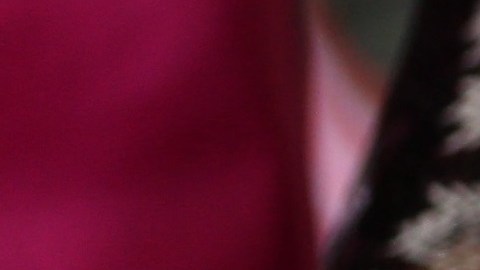 Demócratas buscan que haya ayuda legal para indocumentados que enfrentan la deportación.