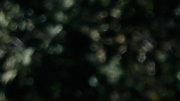 SAN DIEGO, CA - JANUARY 26: California Highway Patrol officers control traffic outside Naval Medical Center San Diego after reports of gunfire inside the Military Hospital on January 26, 2016 in San Diego, California. Initial reports of gunfire were later said to be unfounded by local law enforcement. (Photo by Sean M. Haffey/Getty Images)