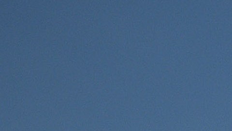 Catalogan como el peor incendio agrícola en décadas el que se vivió en Texas, donde murieron 18,000 vacas