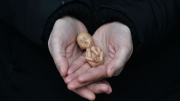 Gobernador de Idaho firma ley que penaliza con cárcel a quienes ayuden a menores a abortar