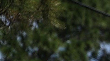 Niño de 13 años en un automóvil robado provocó un accidente que dejó un muerto y 10 heridos en California